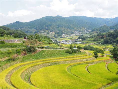 平地|平地